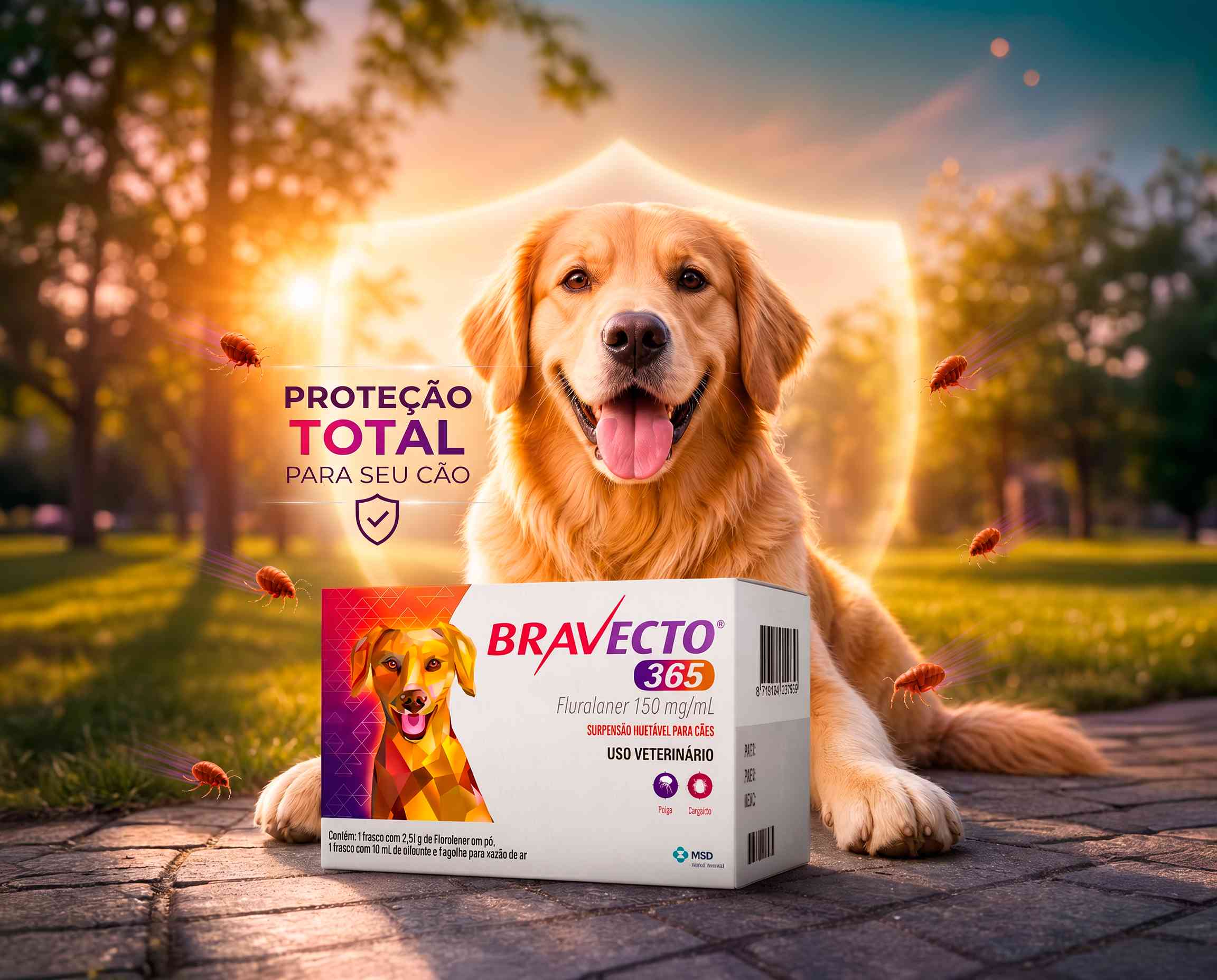 Cão saudável e protegido