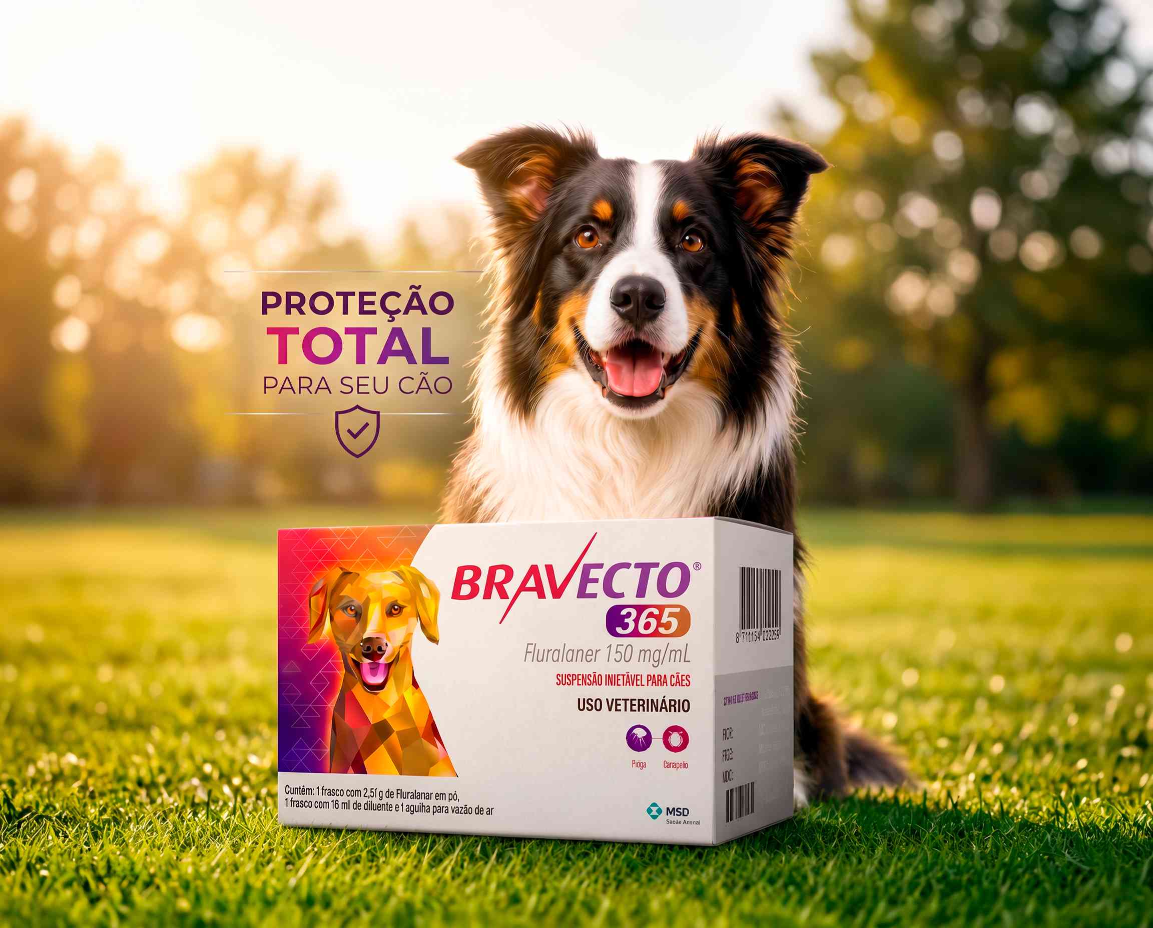 Cachorro com Bravecto 365 ao ar livre